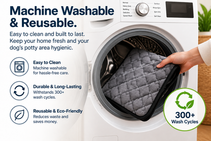 PottyCue™ Product Landing Page — Revised